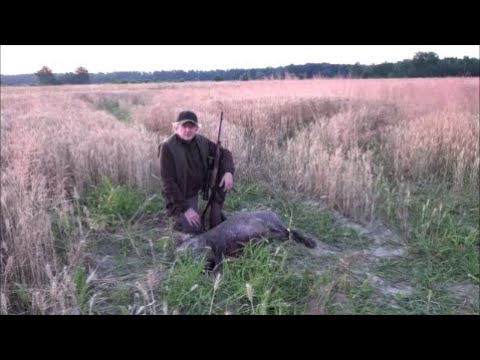 Spotkałem Myśliwych - odcinek  339  Chrzest sztucera w KŁ ,,Łoś'' Gliwice