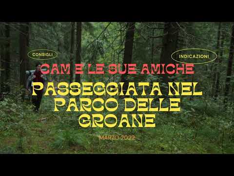 Trekking con il cane: Parco delle Groane - Bosco di Cesate