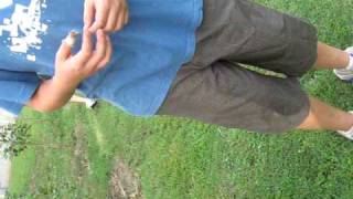 wellington point state school fete (3)