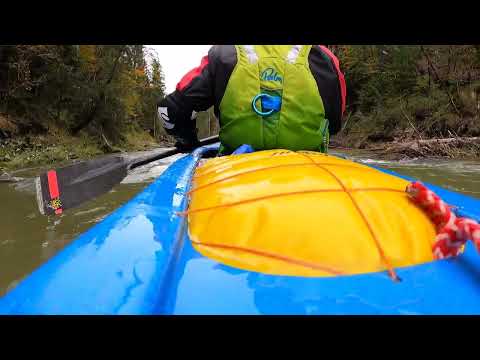 obere Ammer / 221004 / Pegel 88 / Echelsbacher brücke überspülter Baum