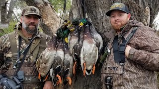 Public Land Secrets with Freelance Duck Hunting