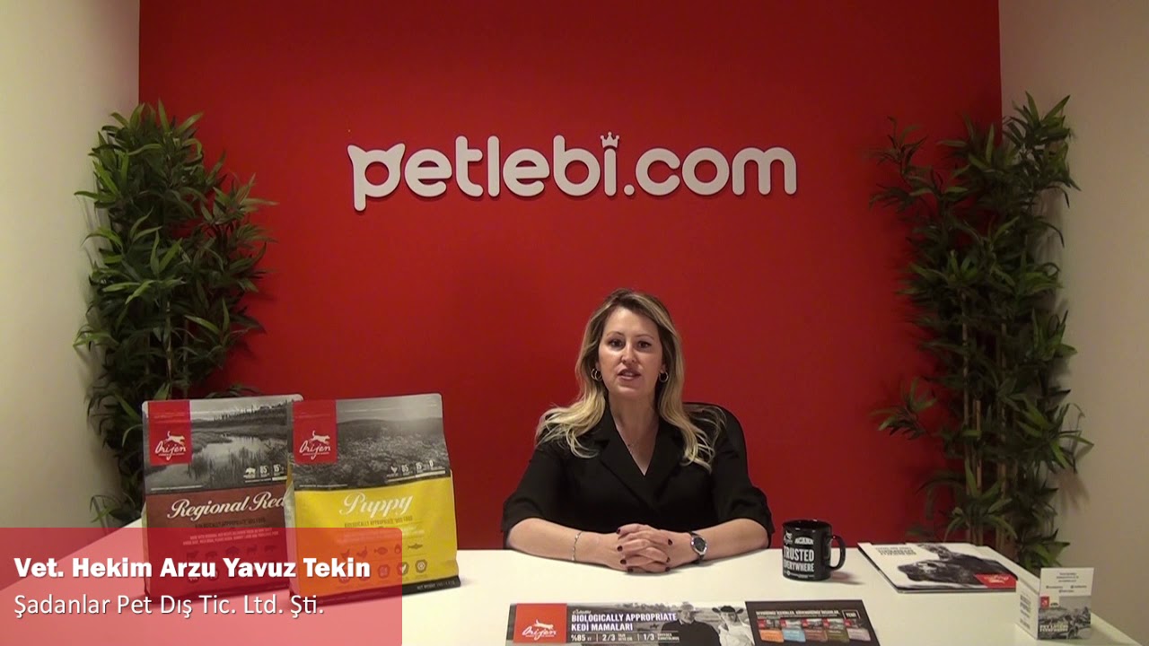 Orijen Puppy Tahılsız Yavru Köpek Maması 2kg tanıtım video görseli