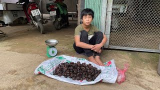 Orphan Boy - Catch Mountain Snails to Sell and Earn Money to Buy Nitrogen Fertilizer #diy