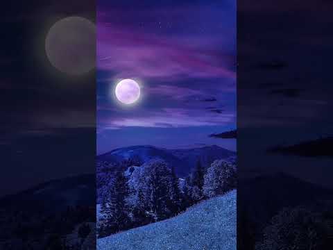 The Verses For Tranquility-AYAAT - US - SAKINARecited by Omar Hisham