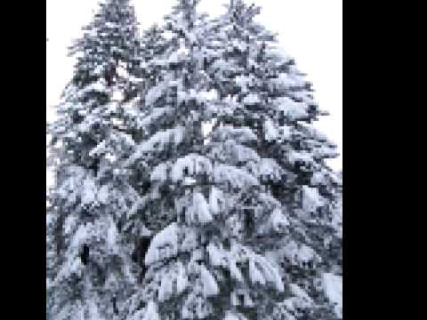 Winter Wonderland - Christina Christian