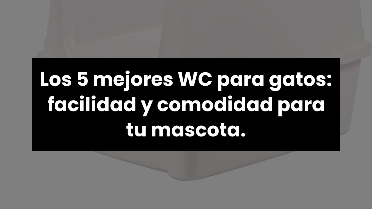 Wc gatos: Los 5 mejores WC para gatos: facilidad y comodidad para tu mascota. 🥇