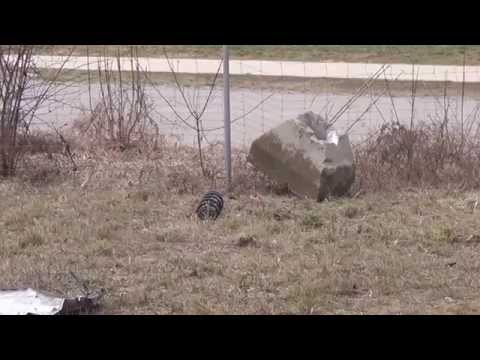 PKW überschlägt sich auf der A8 bei Leonberg am 14.3.15