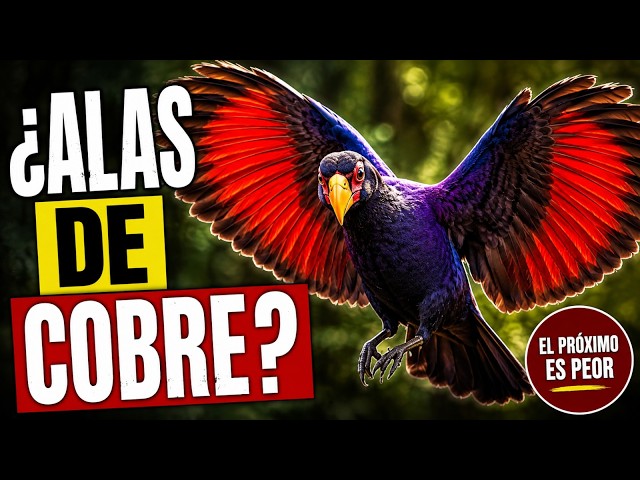 Vídeo relacionado con Falcon en equipo mecánico steampunk, pájaro vibrante Sudadera