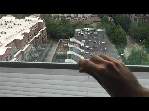 Dianne - North Facing 1x1  #1003