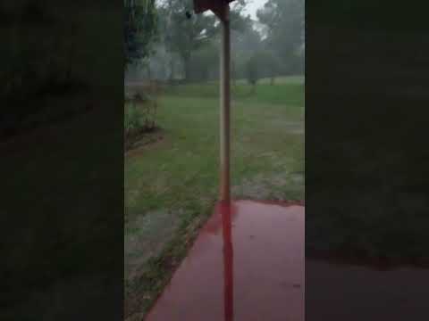 Llego la tan ansiada lluvia (Misiones Argentina) #lluvia #rainsounds #bendita #lluviaintensa