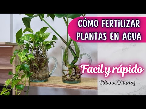 , title : 'CÓMO FERTILIZAR PLANTAS EN AGUA FACIL Y RAPIDO/Liliana Muñoz'