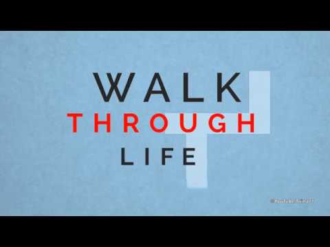 Walk Through Life by Pinkzebra feat. Benji Jackson