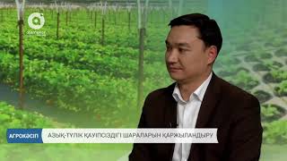 Азық-түлік қауіпсіздігі шараларын қаржыландыру