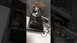 White Lion~Where Do We Run ~