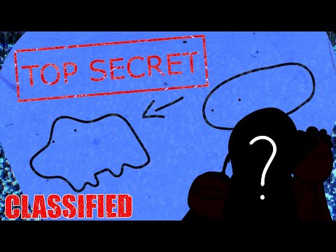 SKĄD SIĘ WZIĘŁY KUCE? - tajemnice świata Kucy wyjaśnione - Kuce z Bronksu 7x03