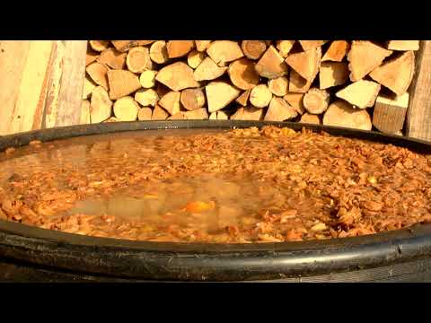 Reč struke ep. 263 20.08.2019. NAJAVA