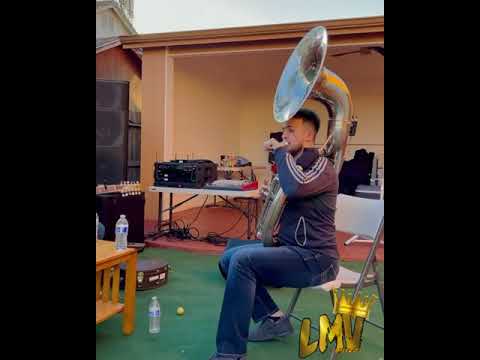 Marca MP - Acá En Guanajuato!🔥