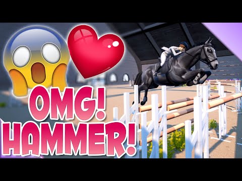 𝐃𝐈𝐄𝐒𝐄𝐒 𝐏𝐅𝐄𝐑𝐃 𝐈𝐒𝐓 𝐃𝐄𝐑 𝐇𝐀𝐌𝐌𝐄𝐑! 🐴 Tales of Rein Ravine
