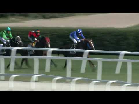 2018.09.16. 05. futam - BBAG BADEN - BADEN DÍJ (Elit kat.)