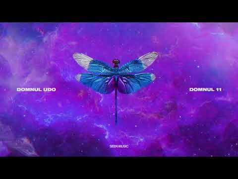 Domnul Udo - Scorpion feat. Super ED (Audio)
