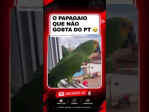 Papagaio diverte a web com antipatia por políticos do PT.