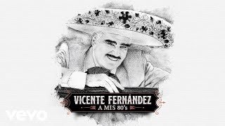 Vicente Fernández - Cielo Rojo (Cover Audio)