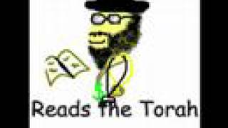 Pretty Fly For A Rabbi - Weird Al VS Offspring