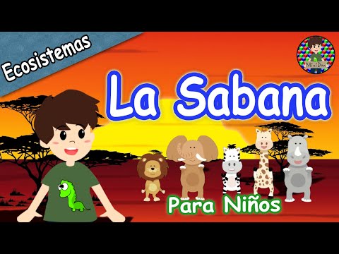 ¿Qué es la Sabana? 🦁🦒🦏Video educativo para niños. Flora, fauna, ubicación, características