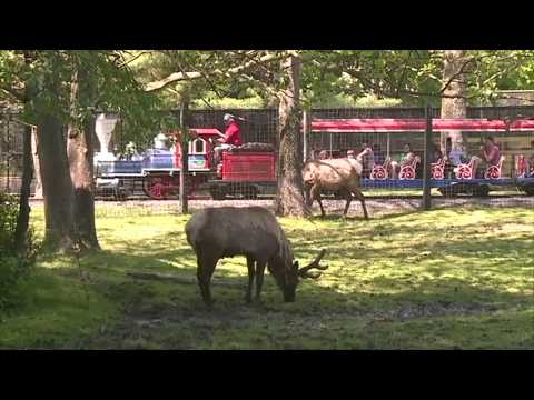 Bergen County Zoo