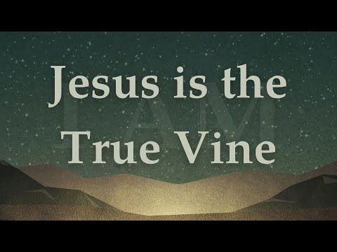 Jesus Is The True Vine