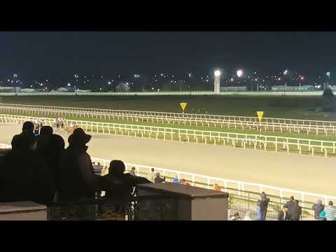 ES-UNICO - Gran Premio Criterium Potrillos