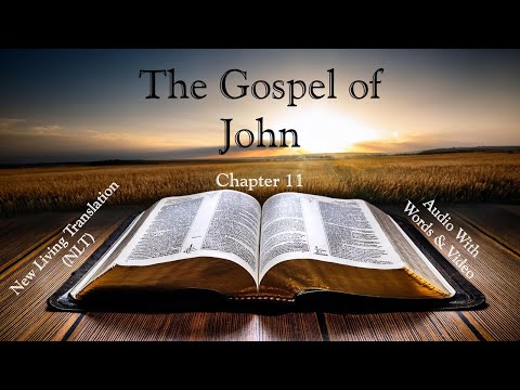 The Gospel of John, Chapter 11 - Holy Bible (NLT) - Audio with Words & Video