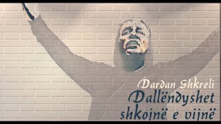 Dardan Shkreli - Dallëndyshet Shkojnë E Vijnë