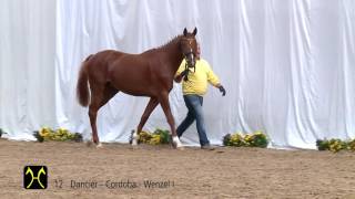 Video von Danciero V