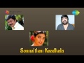Sonnal Thaan Kaadhala Mullaaga Kuththakoodaathu Song