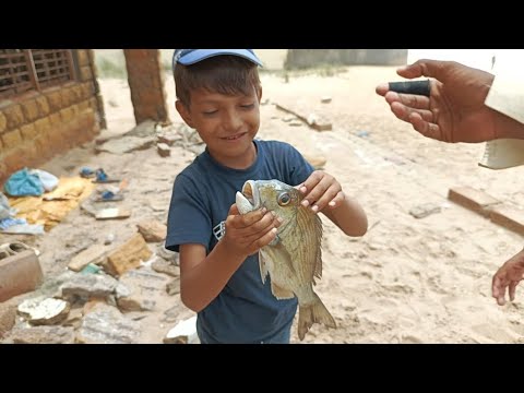 Buharo Taliban wali fishing point | Big Strike Dhati Fishing | Best handline Beach fishing #dodarya