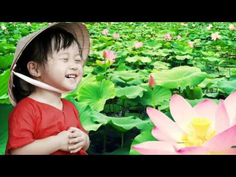 Triệu đóa hồng dâng mẹ - Phượng Vũ