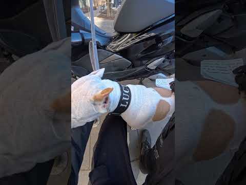 Как ты считаешь,что я должен сделать в такой ситуации? #рекомендации