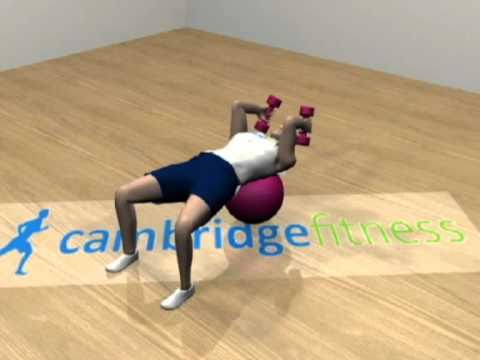 Cambridge fitness home personal training .wmv
