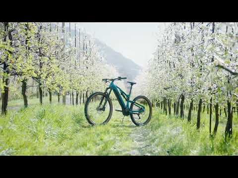 R Raymon TrailRay 160E 8.0