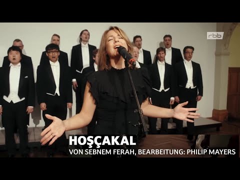 Zeynep Avcı  Hoşçakal Cover Şebnem Ferah _ 2022 11 25