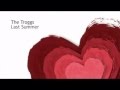 The Troggs - Last Summer 