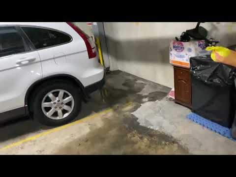 Neutral Bay 81 Military Rd - garage leak - Paul Pickett to fix