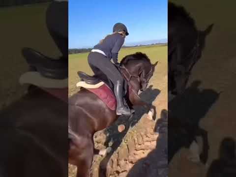 Hella du hast dich so gut gehandelt Woww😱❤️@HellaGabbert #horse #bestpony  #horsefan #showpony 🥹