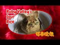 RUBY VALLEY S MOGOK MYANMAR BURMA SOUR RICE 抹谷的酸飯 မိုးကုတ်ထမင်း�