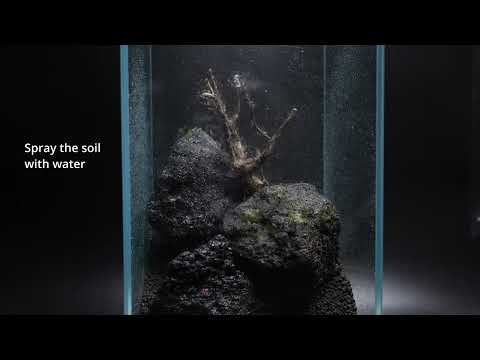 Watch Video on YouTube