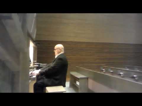 Mun sydämeni halajaa