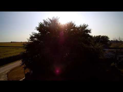 Uncle Tom on Typhoon Q500 4k