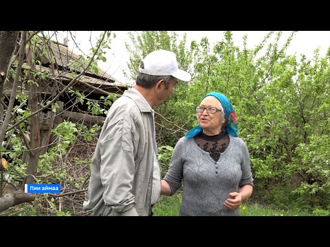 В саду Нины Чебочаковой, жителя села Красный ключ, зацвели разные плодовые деревья