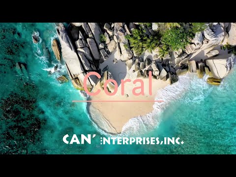 CAN' STONE Coral コーラル